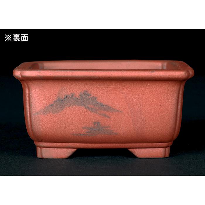 盆栽鉢 「瀬戸焼文山窯朱泥絵付鉢4点セット」 植木鉢 絵鉢 泥鉢 焼締