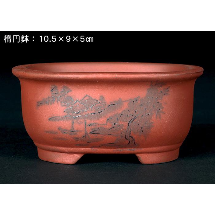 盆栽鉢 「瀬戸焼文山窯朱泥絵付鉢4点セット」 植木鉢 絵鉢 泥鉢 焼締