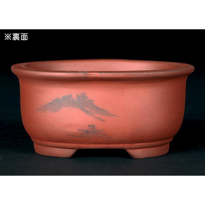 盆栽鉢 「瀬戸焼文山窯朱泥絵付鉢4点セット」 植木鉢 絵鉢 泥鉢 焼締