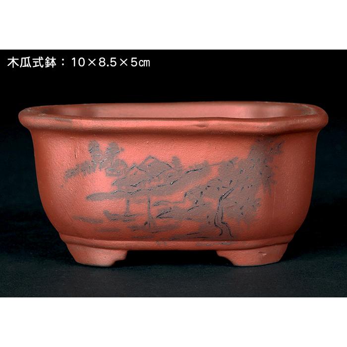 盆栽鉢 「瀬戸焼文山窯朱泥絵付鉢4点セット」 植木鉢 絵鉢 泥鉢 焼締