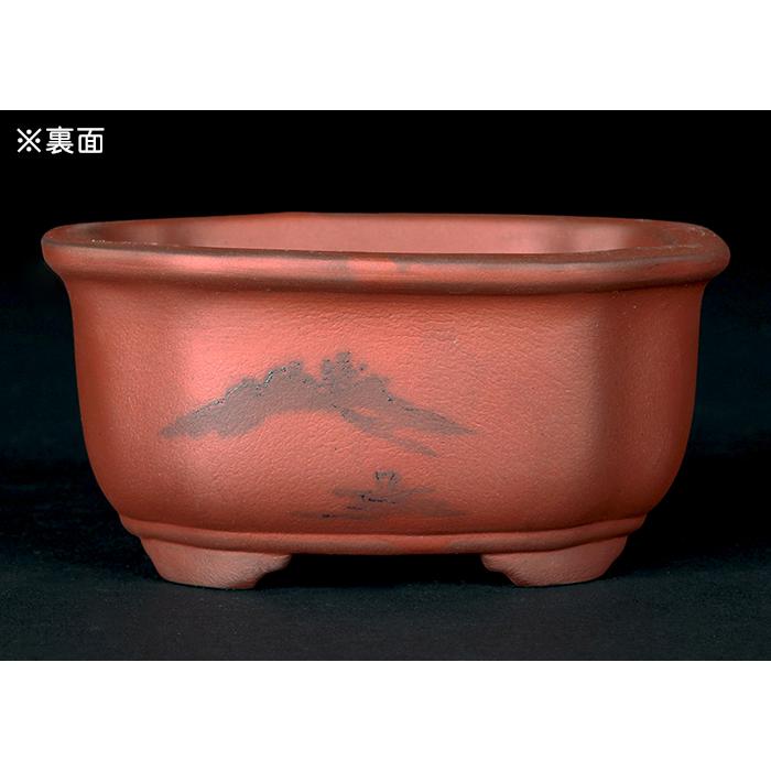 盆栽鉢 「瀬戸焼文山窯朱泥絵付鉢4点セット」 植木鉢 絵鉢 泥鉢 焼締