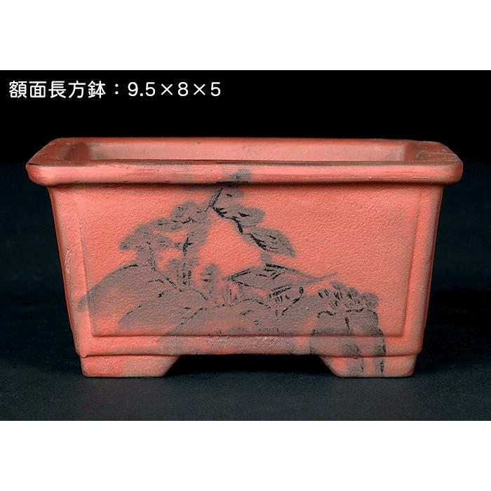 盆栽鉢 「瀬戸焼文山窯朱泥絵付鉢4点セット」 植木鉢 絵鉢 泥鉢 焼締