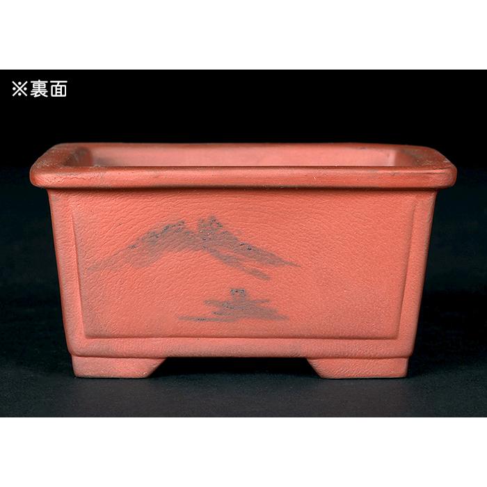 盆栽鉢 「瀬戸焼文山窯朱泥絵付鉢4点セット」 植木鉢 絵鉢 泥鉢 焼締