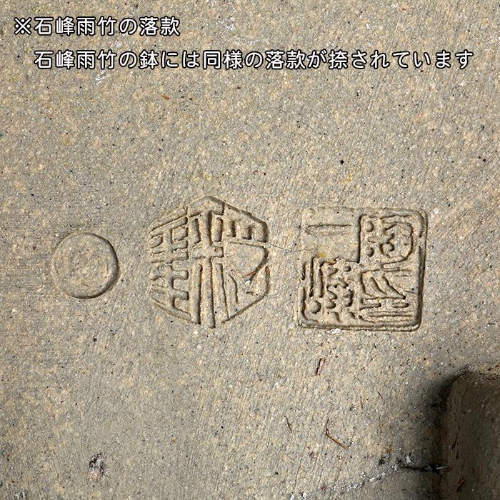 落款有り　長方　青　盆栽鉢 盆栽鉢 広東隅切長方鉢 石峰雨竹 植木鉢 陶器 落款あり 3.5号 10cm