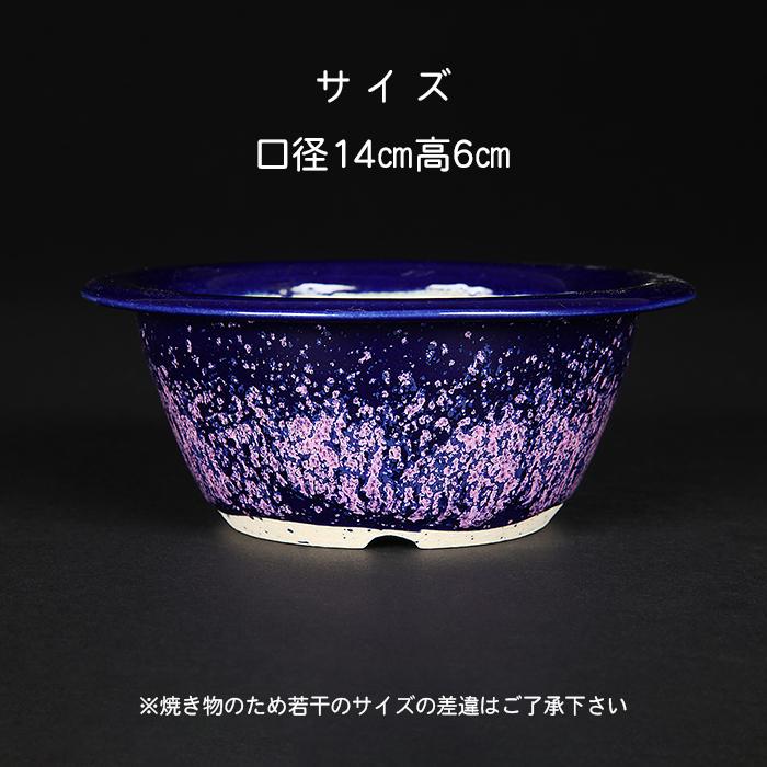 盆栽鉢 鴻陽瑠璃ピンク結晶釉丸鉢 色鉢 ネイビー ピンク 常滑 5号 14cm