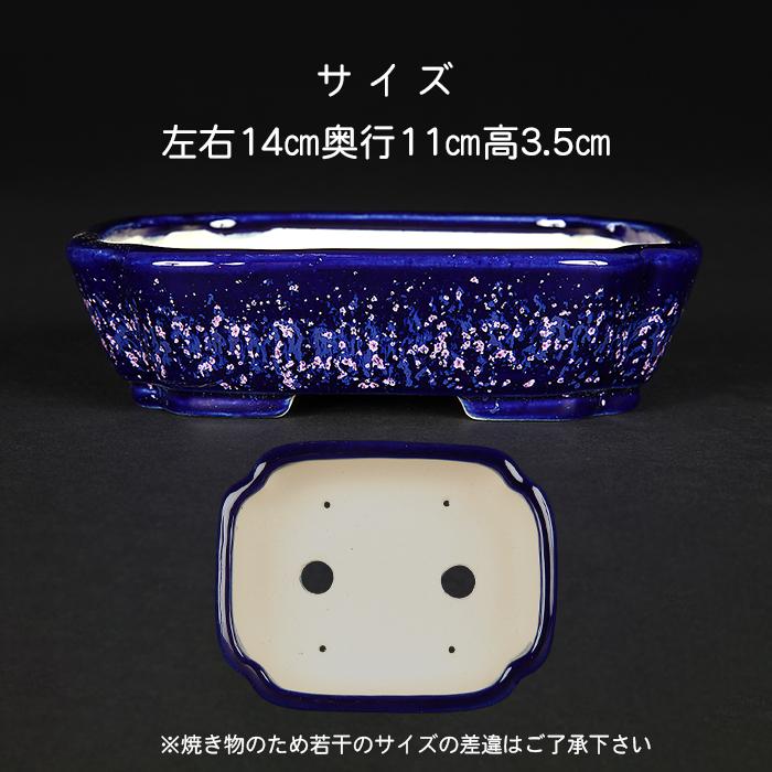 盆栽鉢 鴻陽瑠璃ピンク結晶釉隅入長方鉢 色鉢 ネイビー ピンク 常滑 5