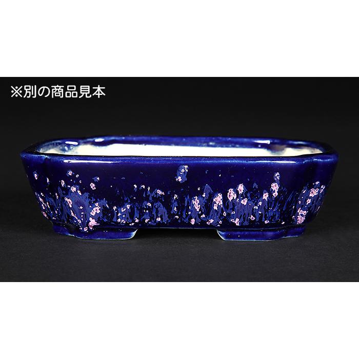 盆栽鉢 鴻陽瑠璃ピンク結晶釉隅入長方鉢 色鉢 ネイビー ピンク 常滑 5