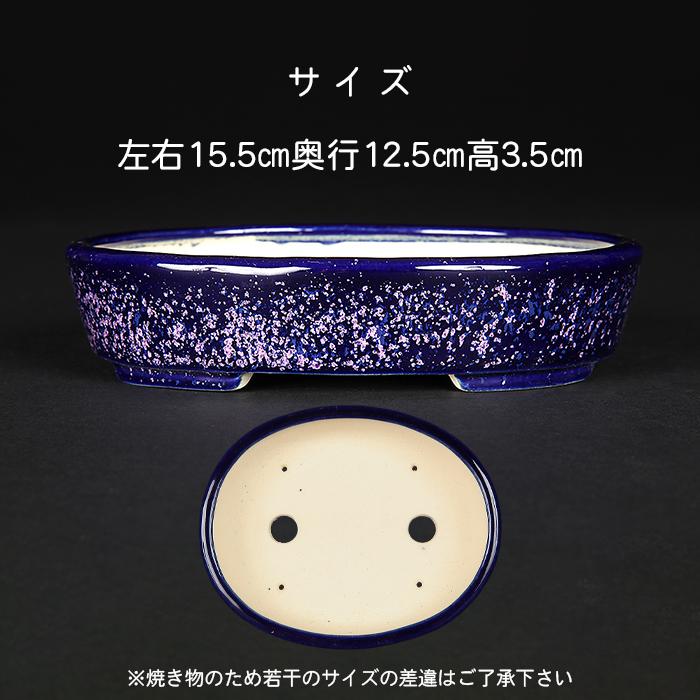 盆栽鉢 鴻陽瑠璃ピンク結晶釉楕円鉢 色鉢 ネイビー ピンク 常滑 5号 15cm 小品盆栽 ミニ盆栽に最適_1