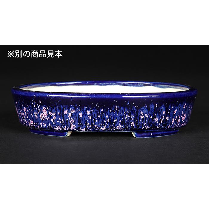 盆栽鉢 鴻陽瑠璃ピンク結晶釉楕円鉢 色鉢 ネイビー ピンク 常滑 5号 15cm 小品盆栽 ミニ盆栽に最適_3