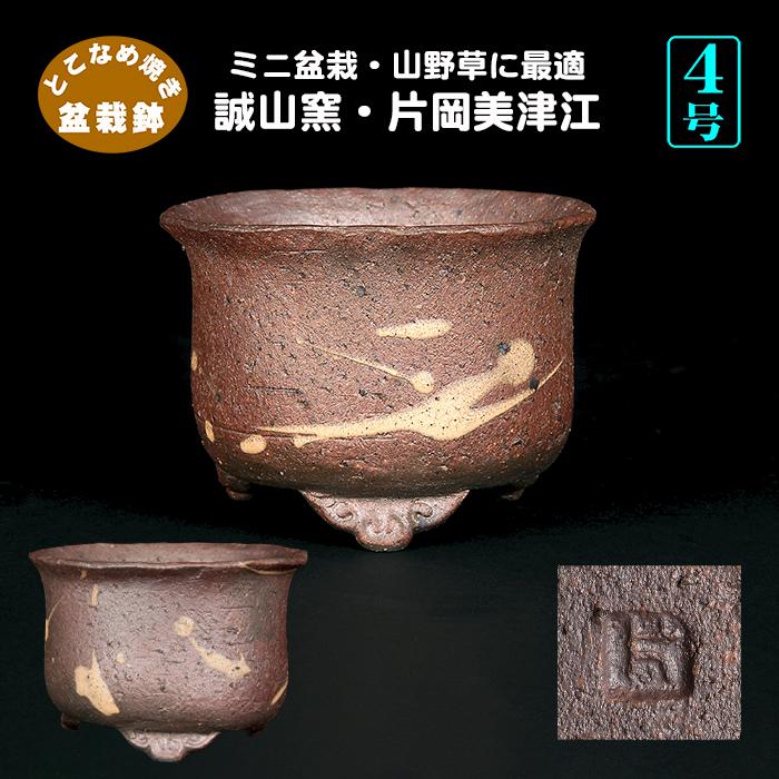 盆栽鉢 誠山窯 片岡美津江作 雲足丸鉢 山草鉢 4号 11cm 創作盆栽 山