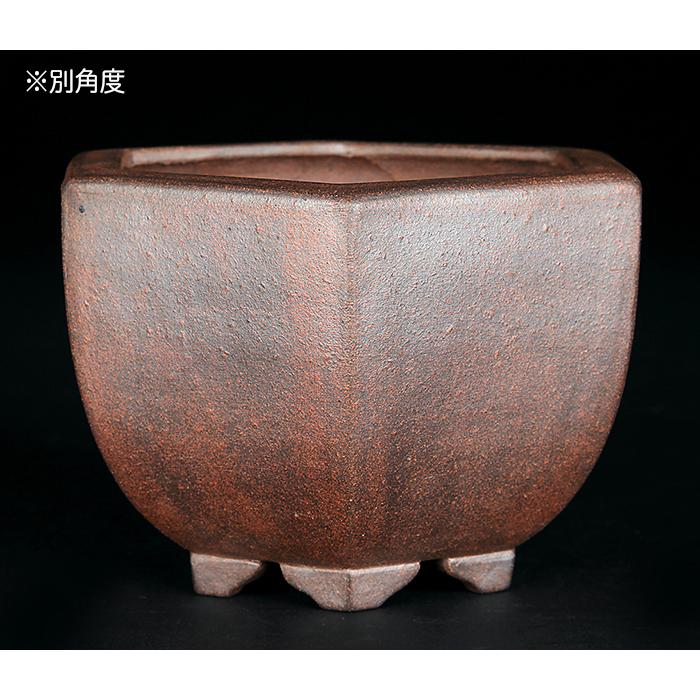 盆栽鉢 黎鳳六角鉢 植木鉢 常滑 片岡黎鳳 泥小鉢 4号 13cm 小品盆栽