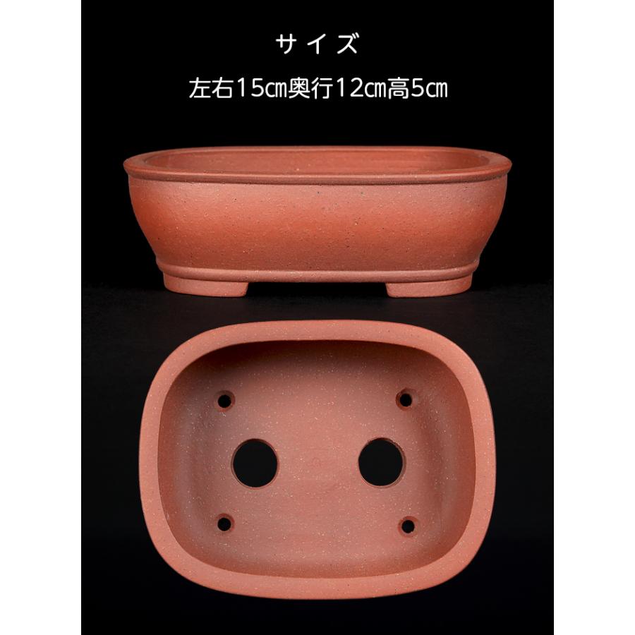 盆栽鉢 銭号撫角長方鉢 常滑 泥鉢 5号 15cm 紫泥 松柏盆栽 小品盆栽
