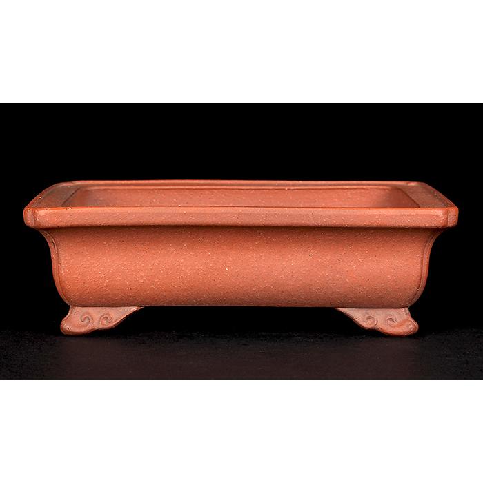 盆栽鉢 銭号外縁雲足長方鉢 植木鉢 常滑 泥鉢 6号 朱泥 小品盆栽 ミニ