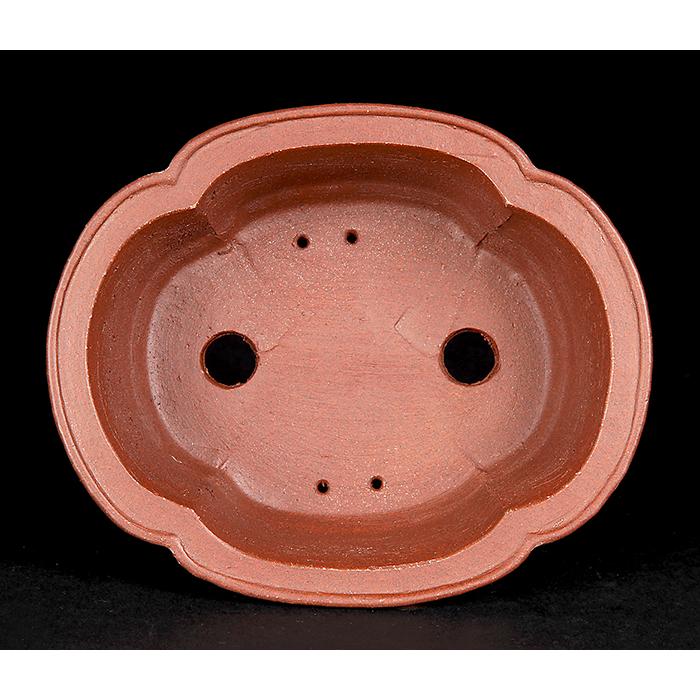 盆栽鉢 柴勝外縁下紐木瓜式鉢 常滑 泥鉢 5号 紫泥 朱泥 小品盆栽 ミニ