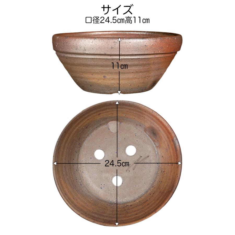 盆栽鉢 常滑焼 松下凡才 南蛮鉢 8号 24.5cm どんぶり型丸鉢 陶器鉢 中