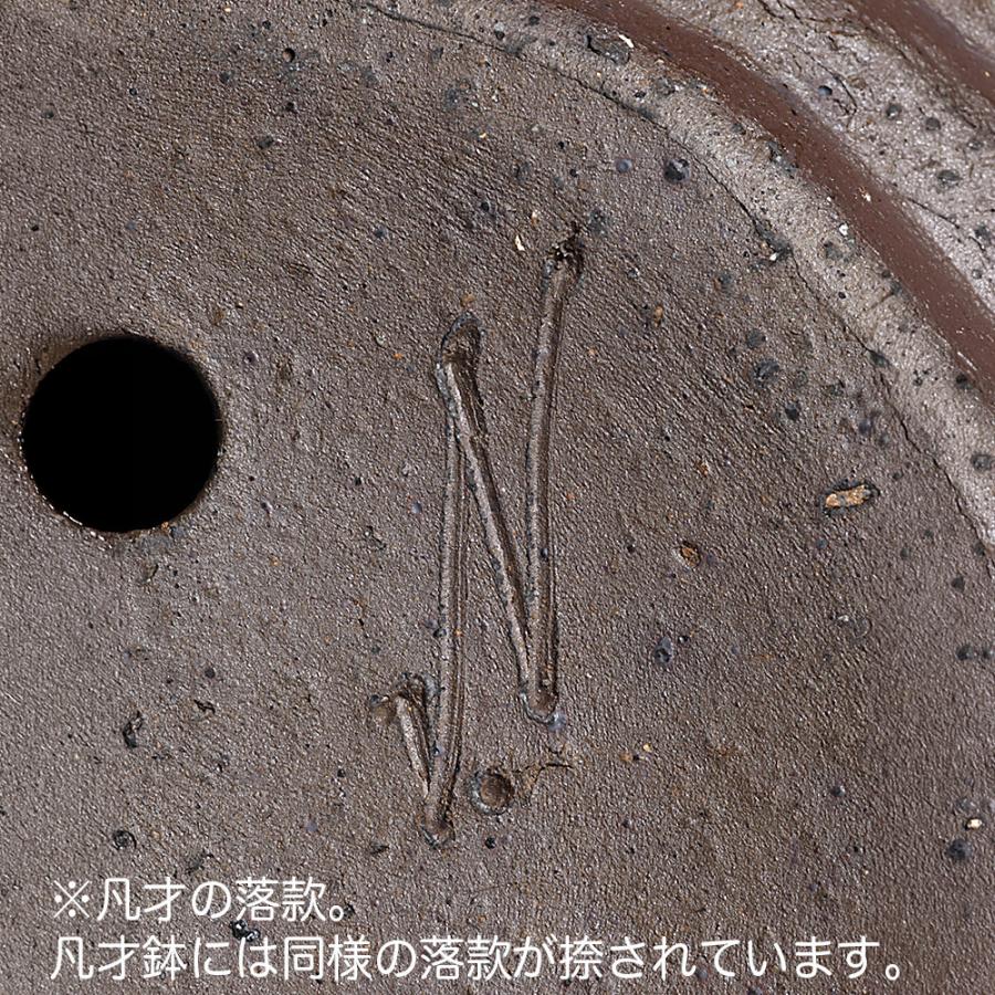 盆栽鉢 常滑焼 松下凡才 南蛮鉢 8号 24.5cm どんぶり型丸鉢 陶器鉢 中