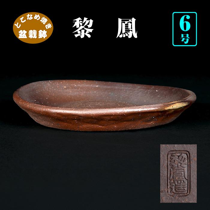 盆栽鉢 南蛮丸鉢 ナンバン 皿型 常滑 レイホウ 泥鉢 6号 19cm 小品盆栽