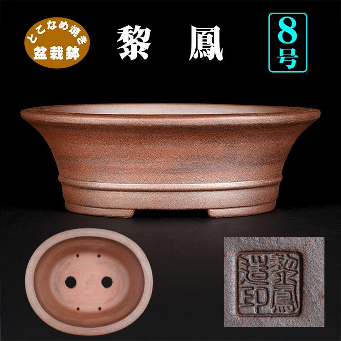 盆栽鉢 黎鳳外縁下紐楕円鉢 植木鉢 常滑 片岡黎鳳 泥鉢 8号 24cm 松柏