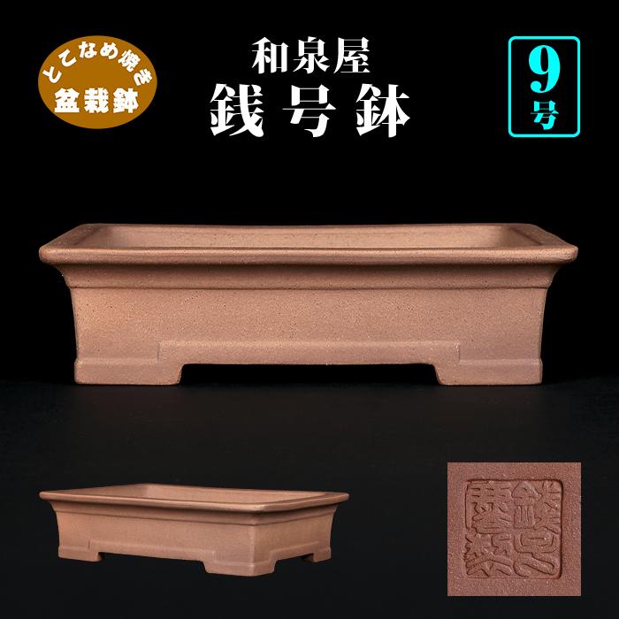 盆栽鉢 銭号外縁上下帯長方鉢 常滑 泥鉢 9号 26cm 紫泥 松柏盆栽 中品