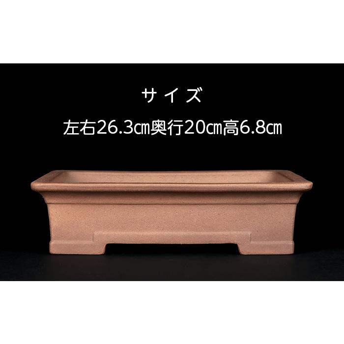 盆栽鉢 銭号外縁上下帯長方鉢 常滑 泥鉢 9号 26cm 紫泥 松柏盆栽 中品