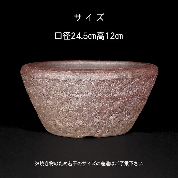 盆栽鉢 凡才南蛮丸鉢 常滑 8号 中品盆栽 寄せ植えに最適 : 盆栽彩都
