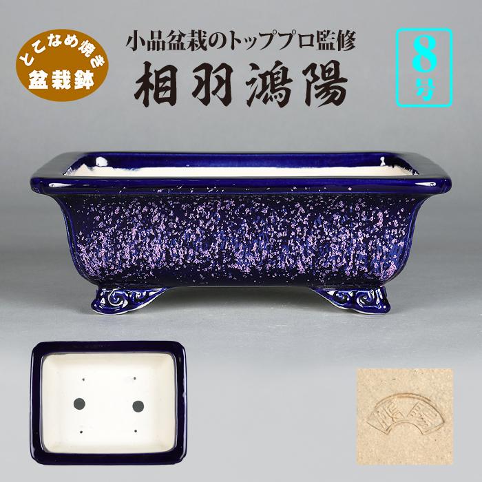 盆栽鉢 鴻陽瑠璃ピンク結晶釉外縁雲足長方鉢 色鉢 相羽鴻陽 常滑 落款