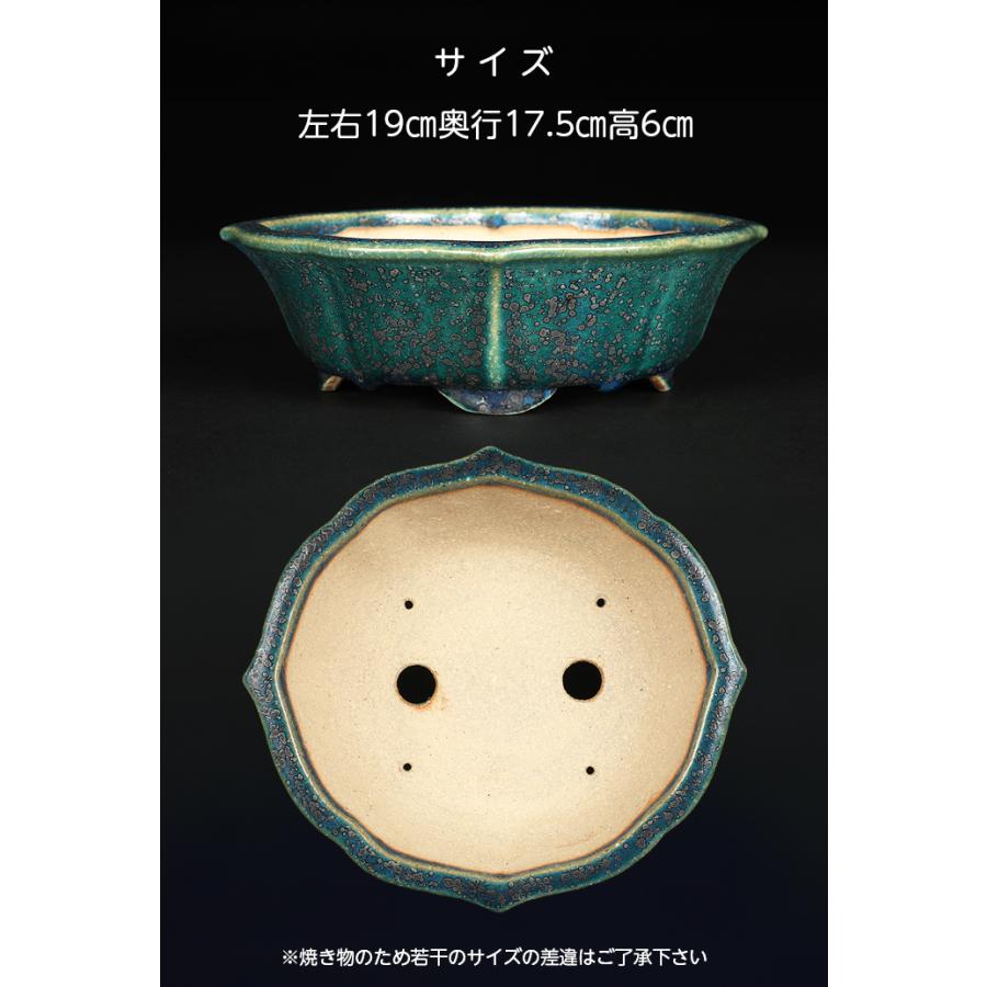 盆栽鉢 鴻陽織部釉剣木瓜式鉢 色鉢 常滑 緑釉 グリーン 6号 19cm 小品盆栽 雑木盆栽に最適の画像