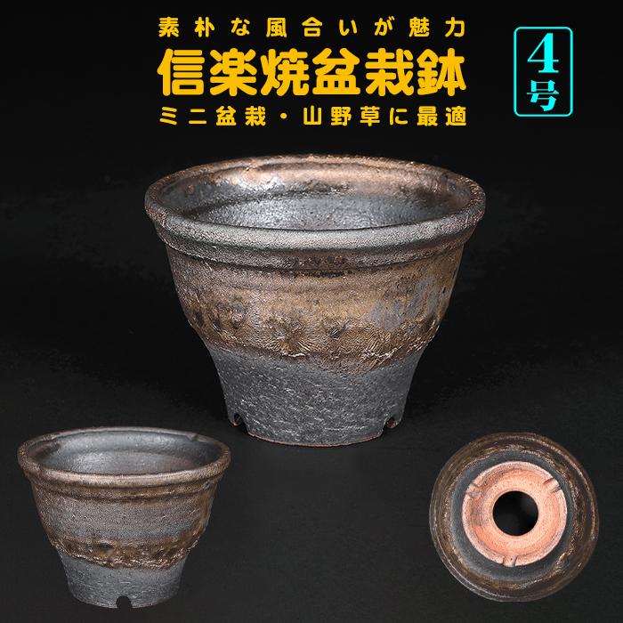 盆栽鉢 信楽焼金彩丸鉢 山野草鉢 4号 12cm 小品盆栽 ミニ盆栽 野草 草