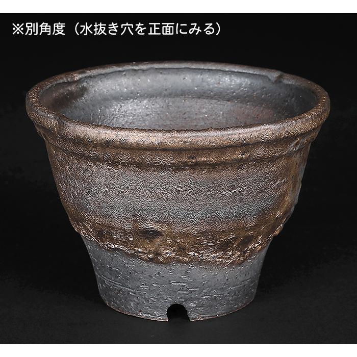 盆栽鉢 信楽焼金彩丸鉢 山野草鉢 4号 12cm 小品盆栽 ミニ盆栽 野草 草