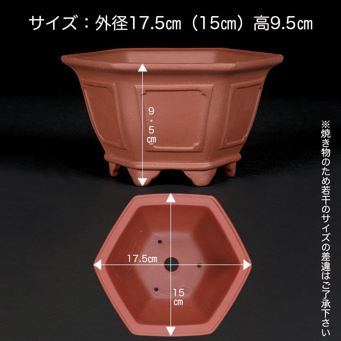 盆栽鉢 紫泥外縁額面六角鉢 6号 17.5cm 朱泥 植木鉢 中国鉢 泥鉢 陶器