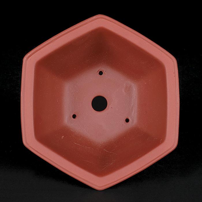 陶器 六角形 植木鉢　中国 盆栽鉢 紫泥外縁額面六角鉢 6号 17.5cm 朱泥 植木鉢 中国鉢 泥鉢 陶器