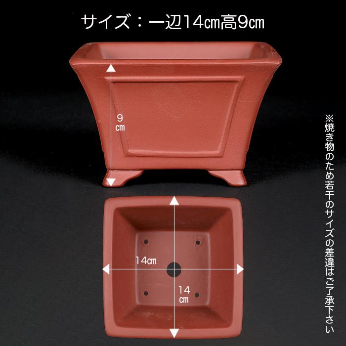 盆栽鉢時代紫泥佳山手捻り正方ミニ盆栽鉢梨皮山野草12x7.5cm植木鉢古鉢 盆栽鉢 紫泥額面正方鉢 5号 16cm 朱泥 植木鉢 中国鉢 泥鉢 陶器 肉厚
