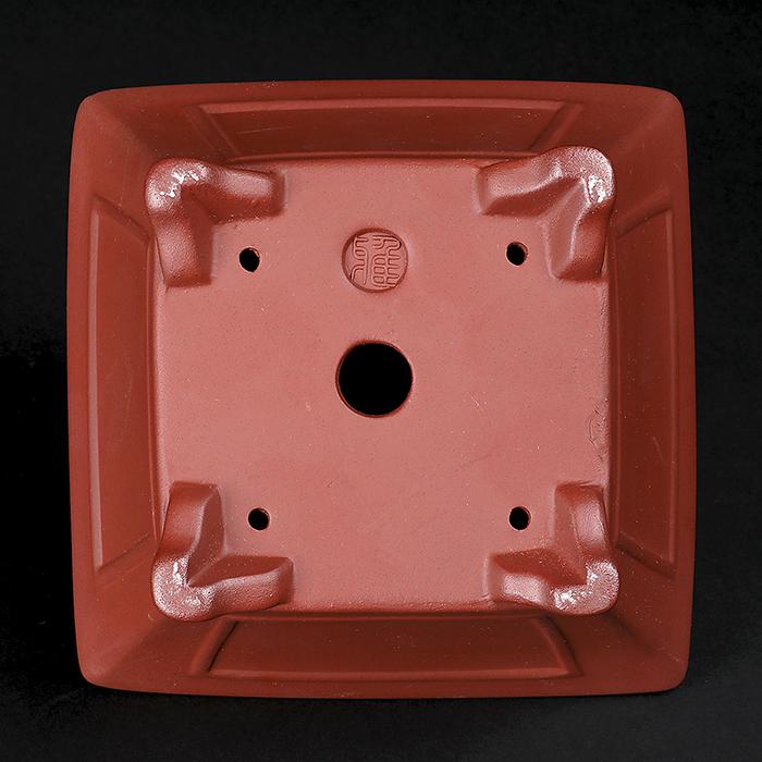 盆栽鉢 紫泥額面正方鉢 朱泥 植木鉢 中国鉢 泥鉢 懸崖鉢 陶器 5号 16cm