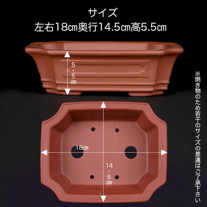 盆栽鉢 紫泥外縁隅切額面長方鉢 6号 18cm 朱泥 植木鉢 中国鉢 泥鉢