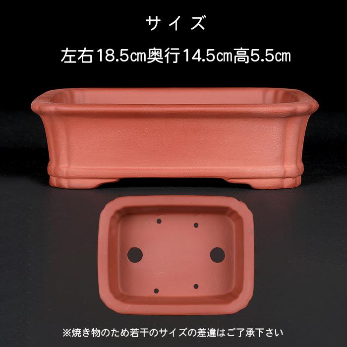 盆栽鉢 紫泥外縁隅入下紐長方鉢 朱泥 植木鉢 中国鉢 泥鉢 陶器 6号