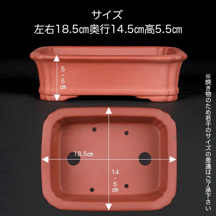 盆栽鉢 紫泥外縁隅入下紐長方鉢 6号 18cm 朱泥 植木鉢 中国鉢 泥鉢
