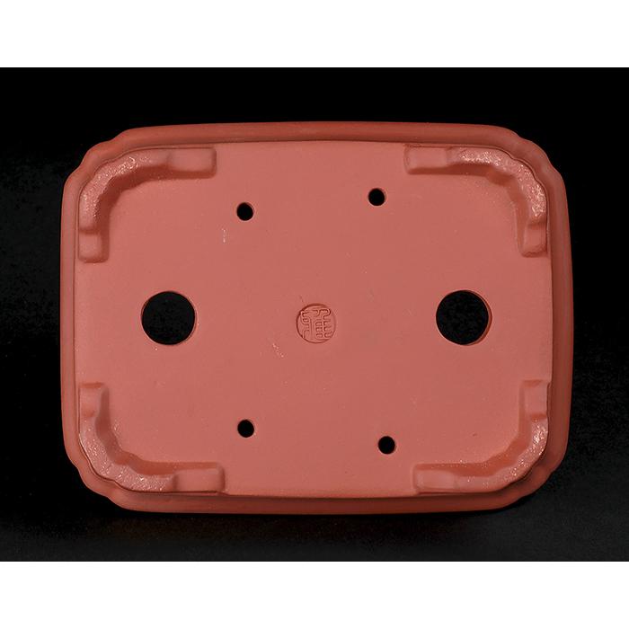 盆栽鉢 紫泥外縁隅入下紐長方鉢 朱泥 植木鉢 中国鉢 泥鉢 陶器 6号