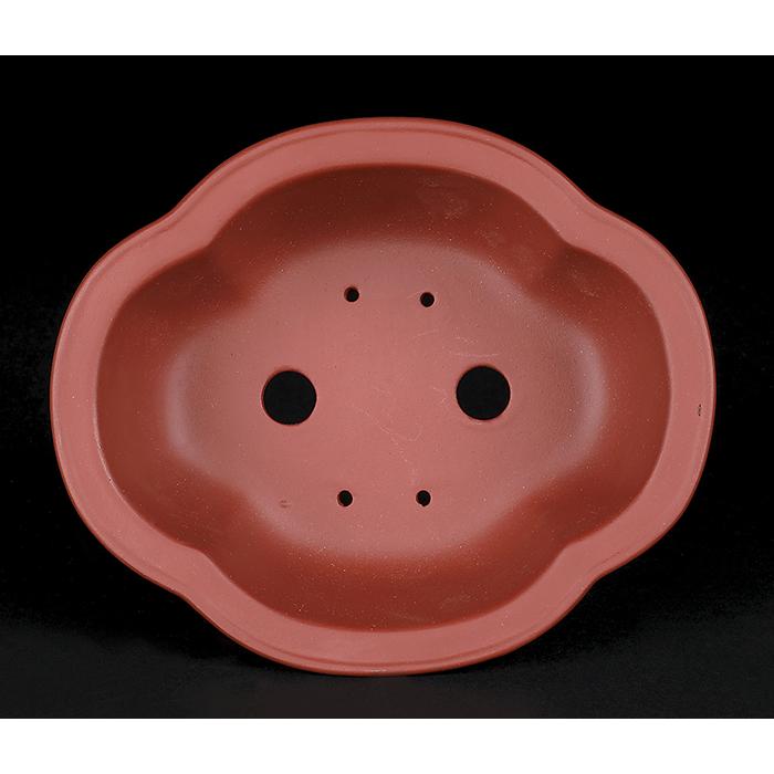 盆栽鉢 紫泥外縁木瓜式鉢 6号 19cm 朱泥 植木鉢 中国鉢 泥鉢 陶器 肉厚
