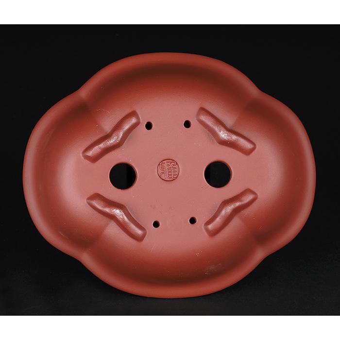 中国宜興　植木鉢　朱泥　中国　China 盆栽 盆栽鉢 紫泥外縁木瓜式鉢 朱泥 植木鉢 中国鉢 泥鉢 陶器 6号 19cm