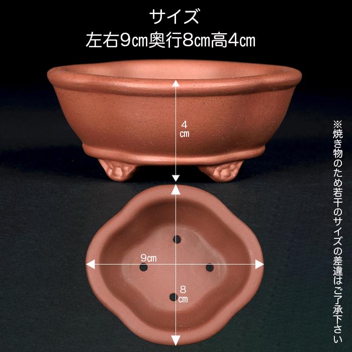 盆栽鉢 紫泥木瓜式鉢 3号 9cm 朱泥 植木鉢 中国鉢 泥鉢 陶器 肉厚 丈夫