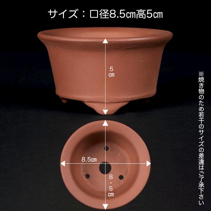 subarujp2005　紫泥　蟹刻　小さな植木鉢　盆栽鉢　M　R8812 楽天市場】【中古】盆栽鉢 た 小鉢 長辺 約 7.5cm 丸鉢 釘彫 蟹 カニ