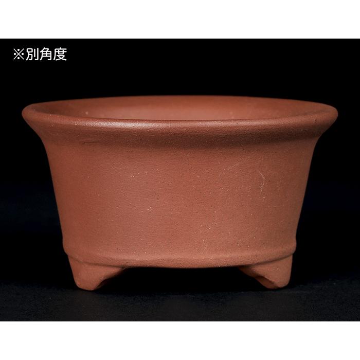 盆栽鉢 紫泥丸鉢 3号 8cm 朱泥 植木鉢 中国鉢 泥鉢 陶器 肉厚 丈夫 凍