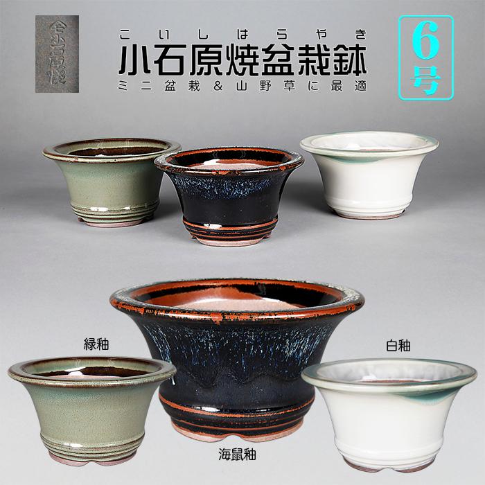 盆栽鉢 小石原焼6号深外縁丸鉢 山草鉢 植木鉢 口径18cm 小品盆栽 ミニ