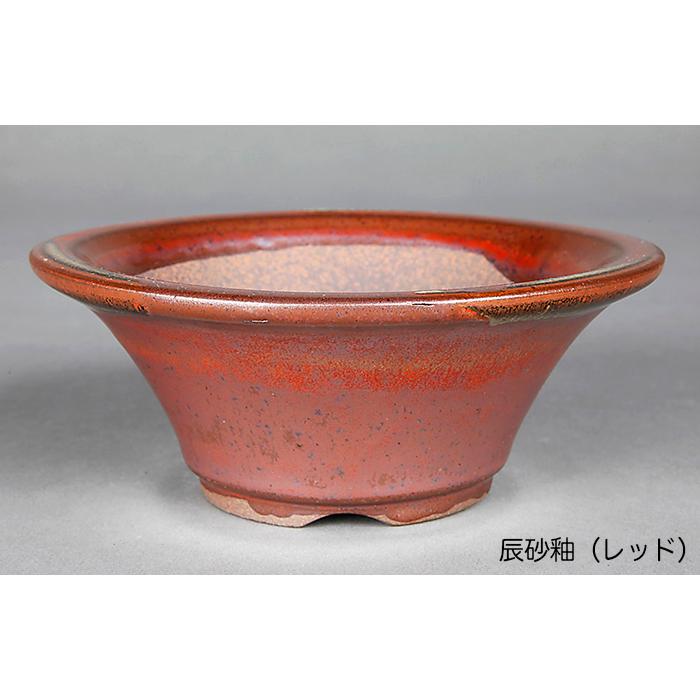 盆栽鉢 小石原焼4号陣笠型丸鉢4点セット 山草鉢 植木鉢 口径12cm 小品