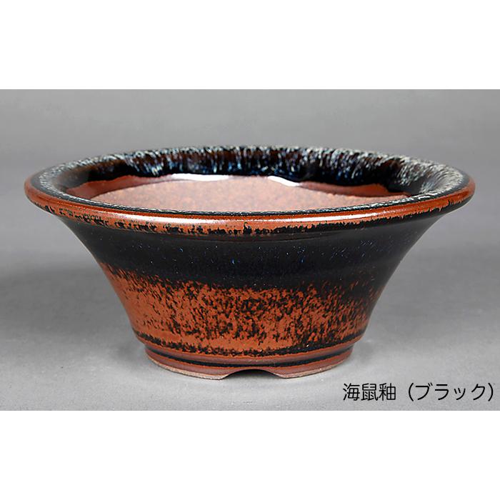 盆栽鉢 小石原焼4号陣笠型丸鉢4点セット 山草鉢 植木鉢 口径12cm 小品
