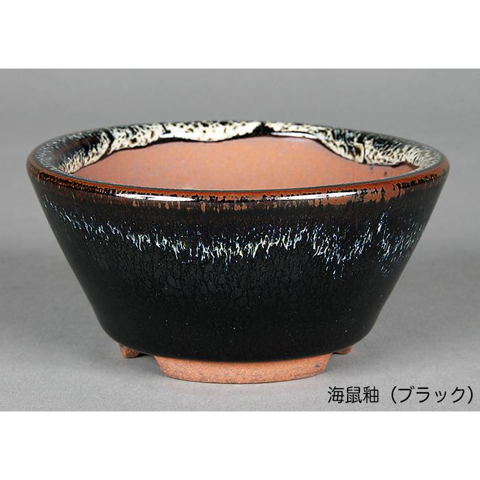 盆栽鉢 小石原焼3号切立丸鉢5点セット 山草鉢 口径10cm 小品盆栽 ミニ