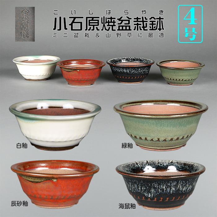 盆栽鉢 小石原焼4号胴縄丸鉢 山草鉢 植木鉢 口径12cm 小品盆栽 ミニ