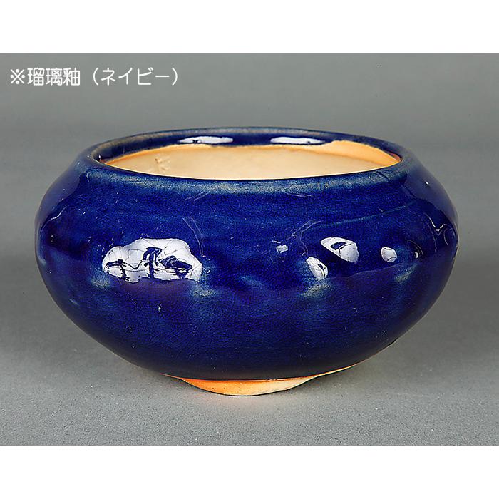 盆栽鉢 「広東色小鉢4点セット」 植木鉢 色鉢 中国鉢 4号 11.5cm 小品