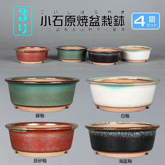 盆栽鉢 小石原焼3号外縁丸鉢4点セット 山草鉢 植木鉢 口径10cm 小品