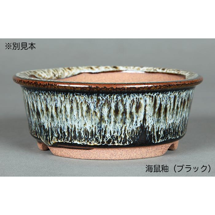 盆栽鉢 小石原焼3号外縁丸鉢4点セット 山草鉢 植木鉢 口径10cm 小品
